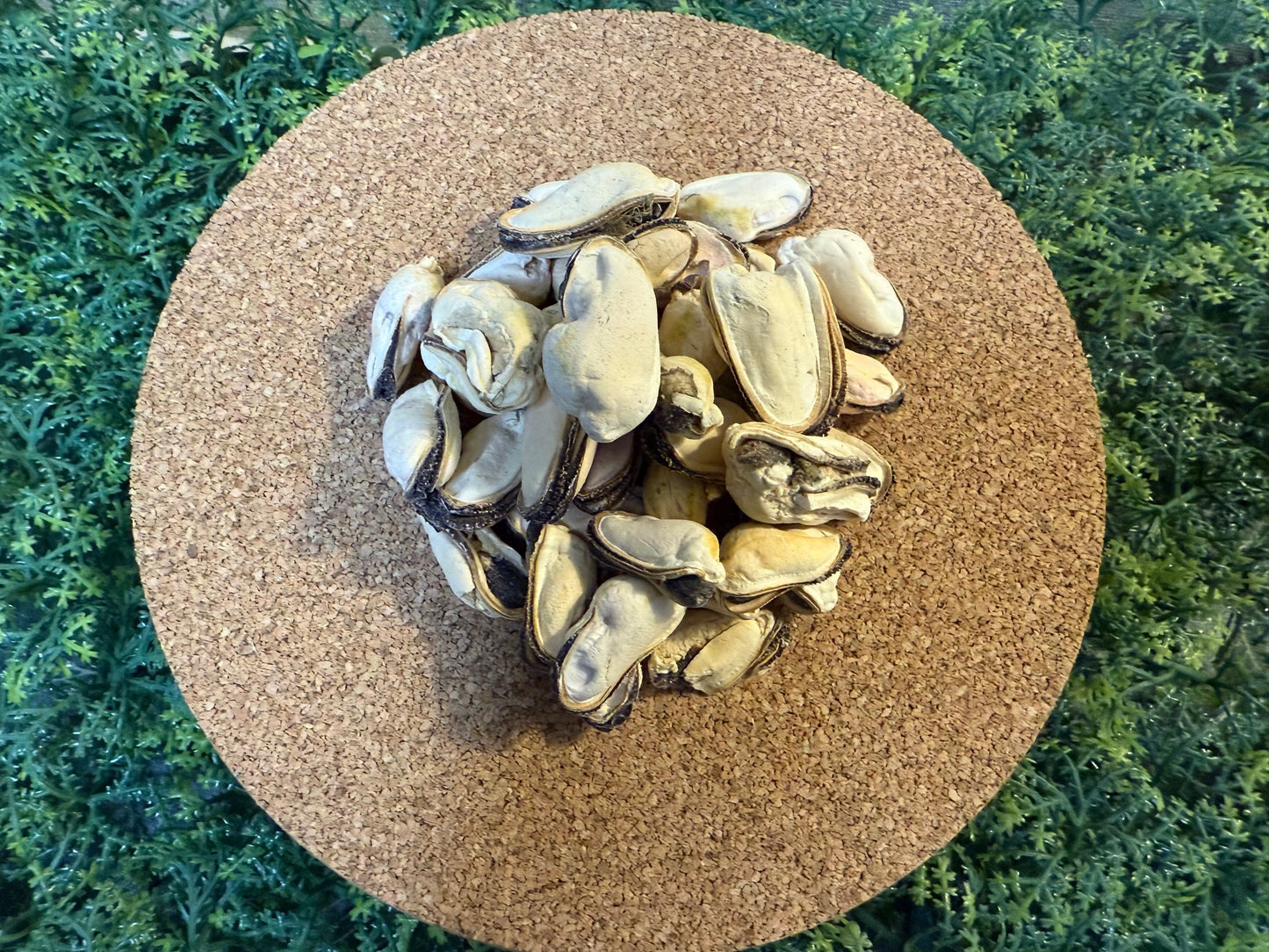 Freeze-Dried Blue Mussels for Dogs